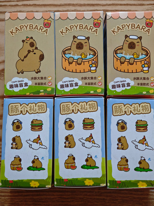 Boite mystères kapibara